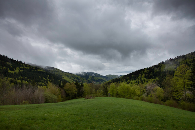 schwarzwald, black forest, frühling, spring