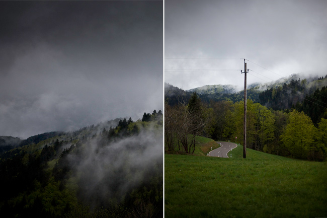 schwarzwald, black forest, frühling, spring